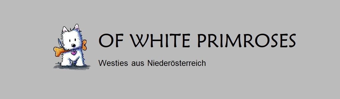 Herzlich Willkommen auf der Homepage "Of White Primroses"!